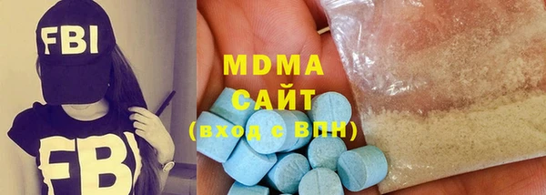 шишки Няндома