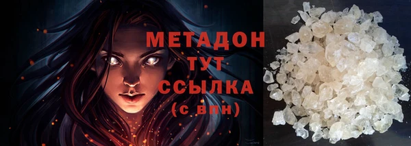 шишки Няндома