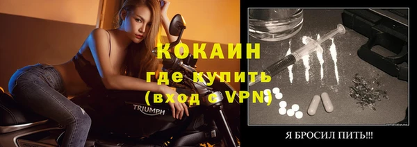шишки Няндома