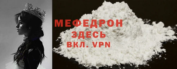 шишки Няндома