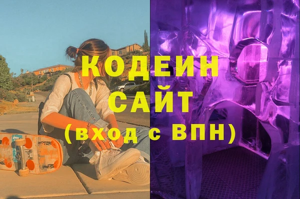 шишки Няндома