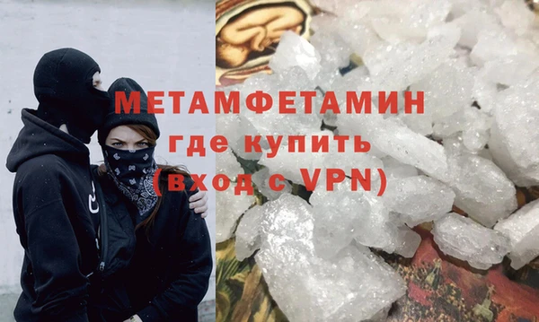 шишки Няндома