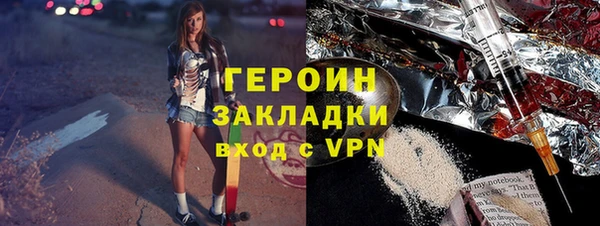 шишки Няндома