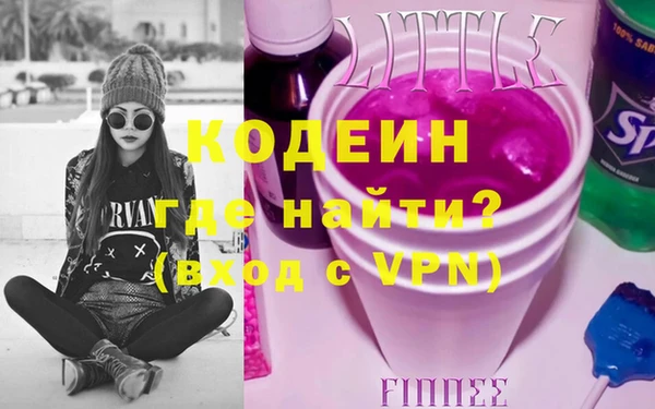шишки Няндома