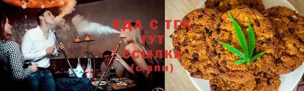шишки Няндома