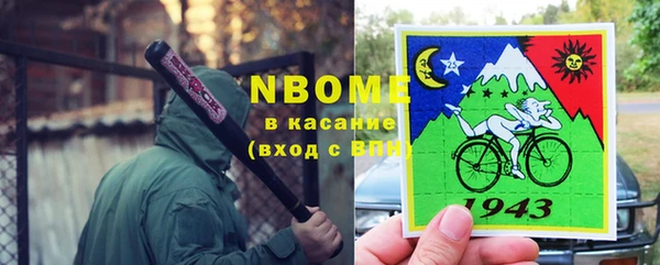 шишки Няндома
