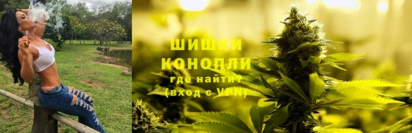 шишки Няндома