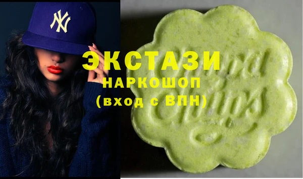 шишки Няндома