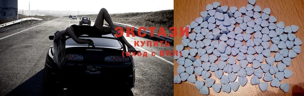 шишки Няндома