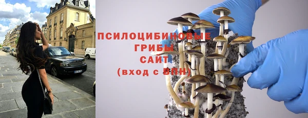 шишки Няндома