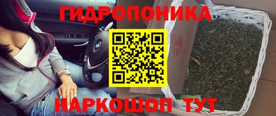 гашик Аргун