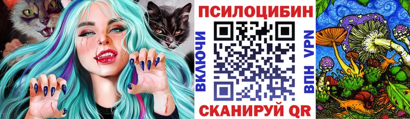 цена   Северобайкальск  Псилоцибиновые грибы мицелий 