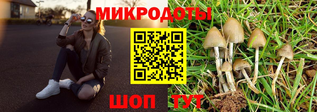 Галлюциногенные грибы ЛСД Северобайкальск