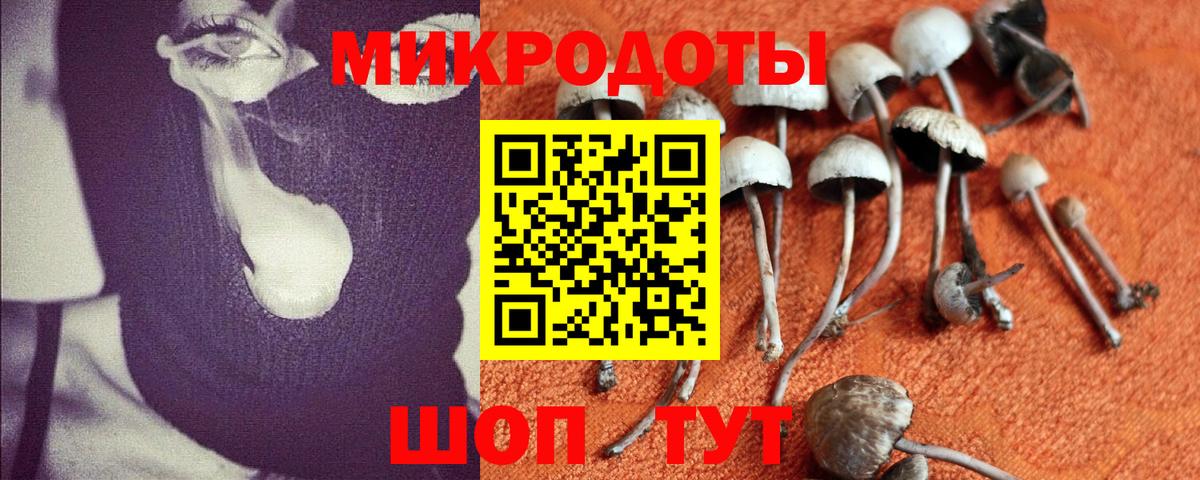 Галлюциногенные грибы Cubensis  Северобайкальск 