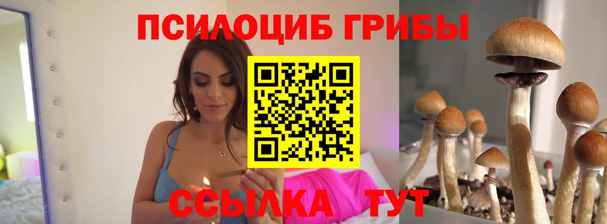Северобайкальск  Галлюциногенные грибы Magic Shrooms  Вход с VPN 